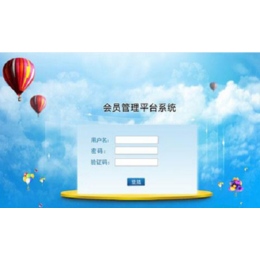 系統(tǒng)軟件開(kāi)發(fā) 黑龍江與山東的行業(yè)特色與服務(wù)優(yōu)勢(shì)